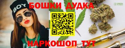 прущие грибы Новокубанск