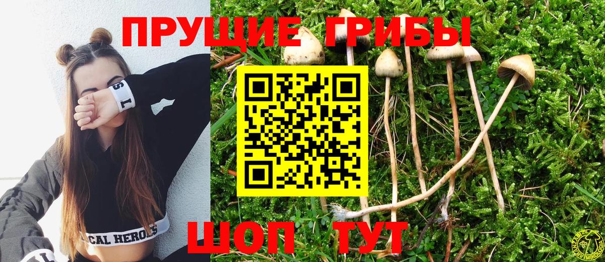 Советский  Галлюциногенные грибы MAGIC MUSHROOMS  Вход с VPN 